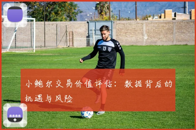 小鲍尔交易价值评估：数据背后的机遇与风险
