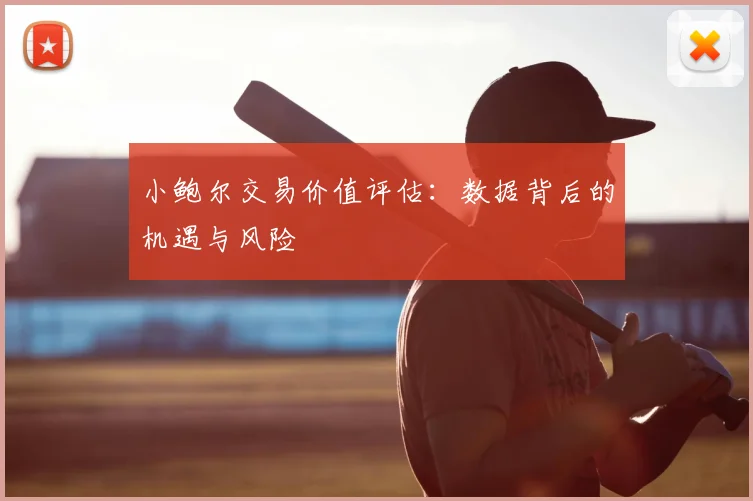 小鲍尔交易价值评估：数据背后的机遇与风险